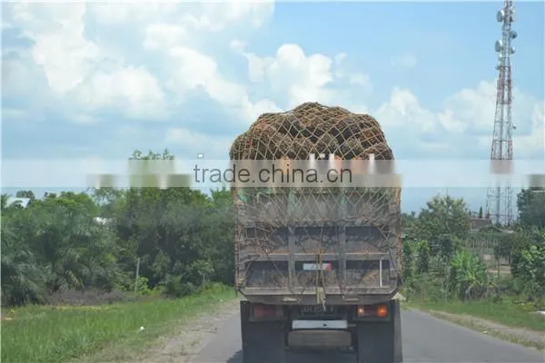 Sinar Mas Group Partner 5TPH Palm Oil Press Machine photo-4