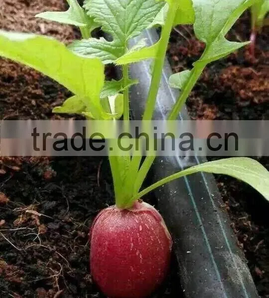 PVC Hydroponic Gutter for Strawberry Growing photo-2