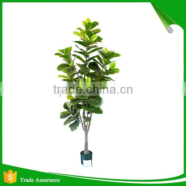 Incredibly Realistic Artificial Rubber Ficus Plant Tree for Home and House photo-3