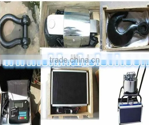 Electronic Cow Crane Scale With Printer /electronic Price Computing Scales photo-2