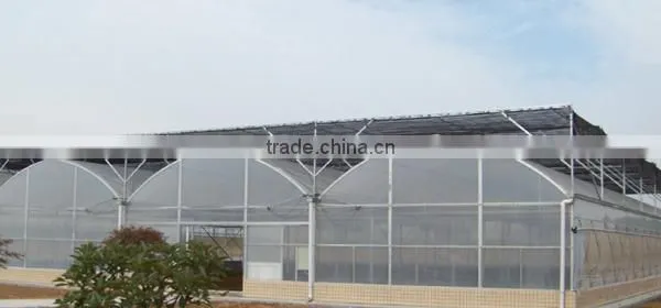 Cheap 30 x 100 Greenhouse photo-5