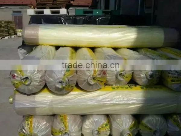 LDPE Greenhouse Film for Flower, Vegetable photo-4