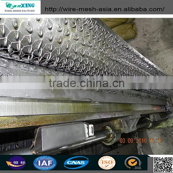 Galvanized and Pvc Coated Bird Animal Cages Hexagonal Wire Mesh/chicken Wire Mesh photo-2