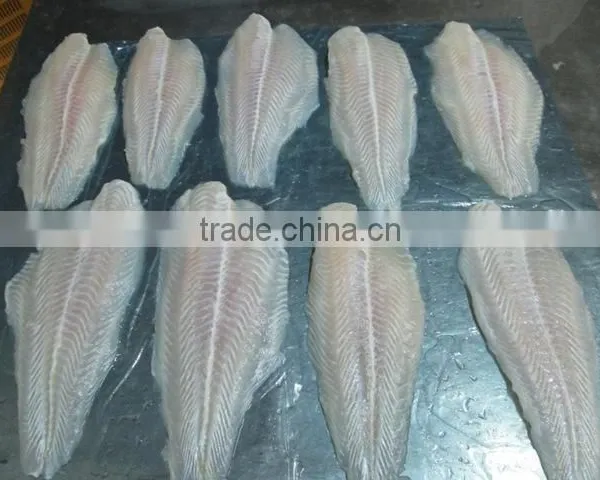 Frozen Pangasius Fillet/ Well-trimmed, Untrimmed Frozen Pangasius Steak/ Basa Fillet/ Frozen Pangasius Fillet/ Fish Fillet