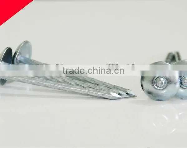 China Unique Galvanized Roofing Nails With Umbrella Head photo-6