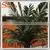 2015 Wholesale Price Artificial Plastic Outdoor Lighted 6M Palm Trees for Decoration photo-5