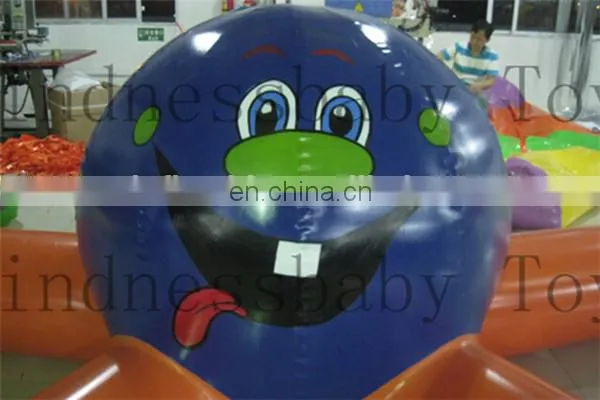 Hot Funly Inflatable Water Park Games for Adults,floating Water Games for Sale photo-3