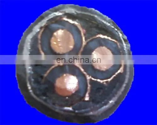 Professional Manufacturer Xlpe Insulated EHV Power Cable photo-5