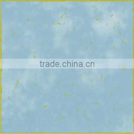Jiaozuo 200*200 Kitchen Tiles photo-4