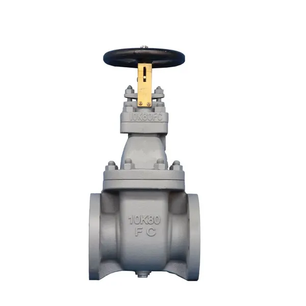 JIS Cast Iron Non Rising Stem Flange Gate Valve Sea Water 5K 10K 16K F7364 Marine Valve photo-4