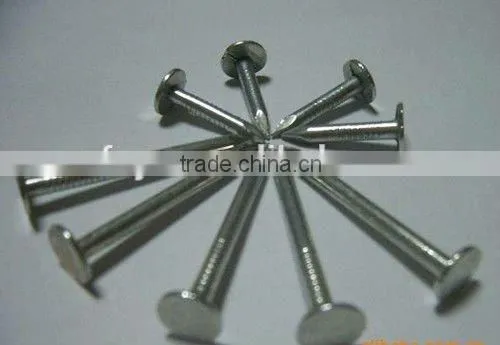 Color Zinc Clout Nails photo-6