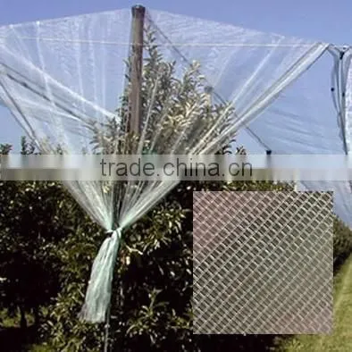 Insect Net / Netting / Insect Proof Net