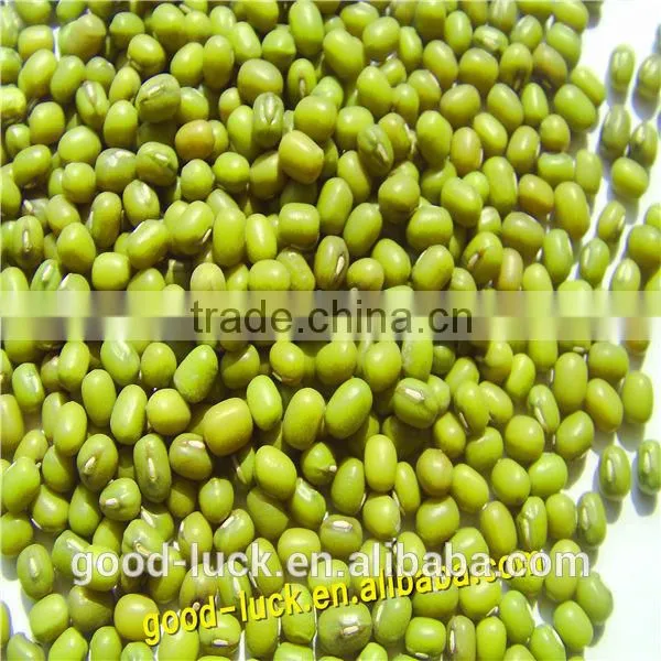 Mung Beans for Food Grade photo-4