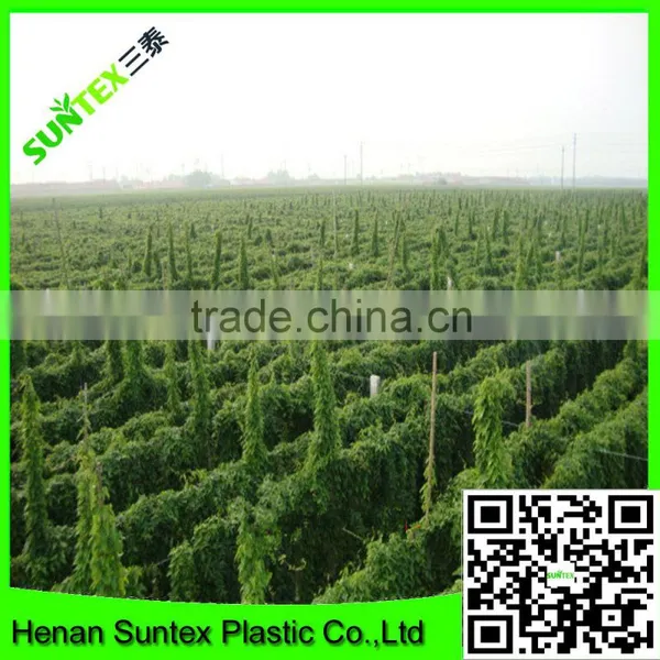 Heavy Duty Long-lasting Polyester Trellis Netting Pea & Bean Support Net photo-3