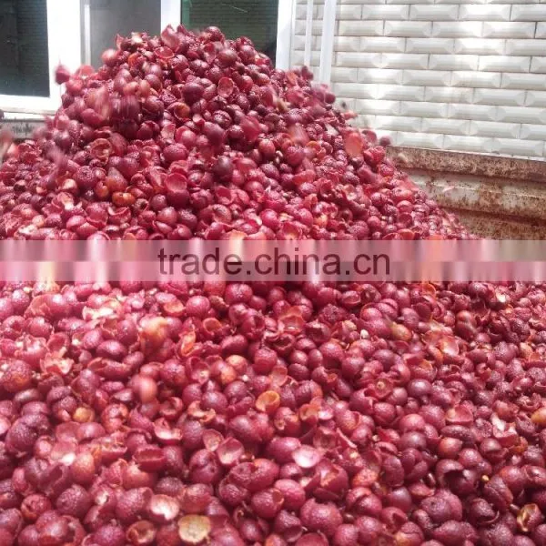 Litchi (longan) Crusher Separator photo-4