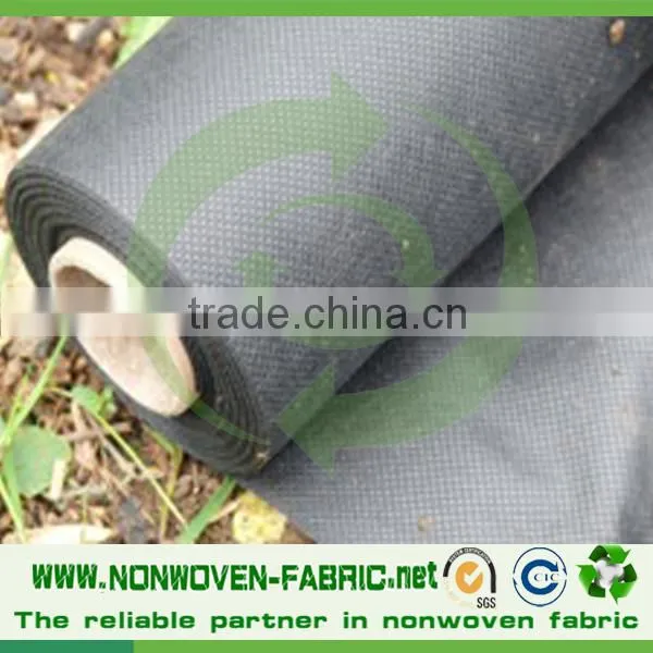 Anti-UV Treatment pp Spunbond Nonwoven Fabric Agriculture Cover/pp Spunbond Tunnel Supplier's Choice photo-2