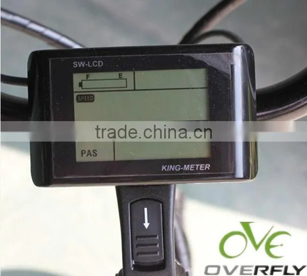 LED display for fashion e-bike with CE