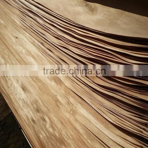 Rengas Veneer photo-5