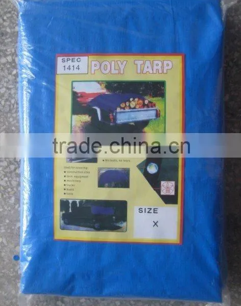 #3000 1.8x3.6m China Tarpaulin Roll Exported to Japan photo-2
