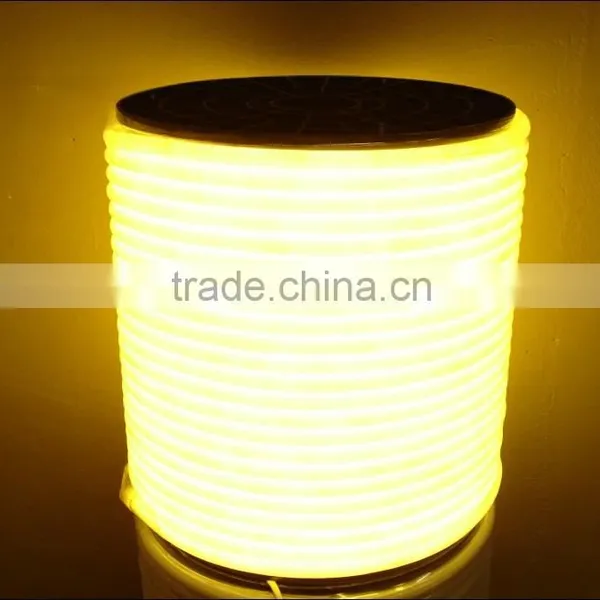 220V 110V 24V 12V Led Neon Rope Light photo-4