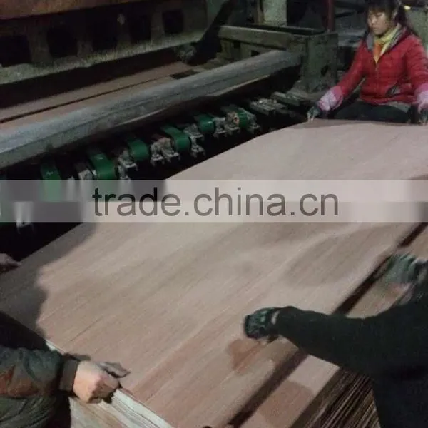 Recon Veneer / Natural Keruing Veneer / Gurjan Face Veneer photo-3