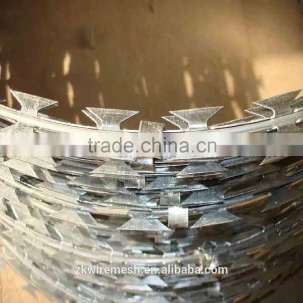 Galvanized Razor Barbed Wire (zekai ) photo-5