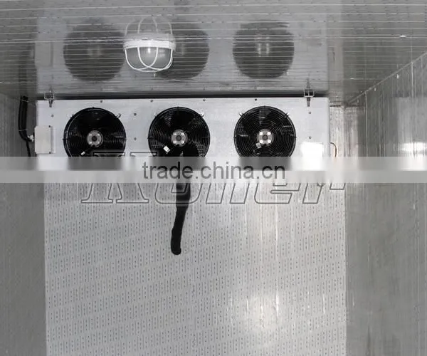 Commercial Modular Freezer Cold Room With 20CBM for Meat Storage VCR20 photo-2