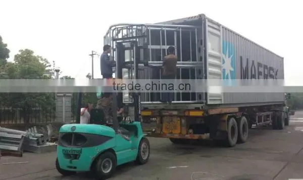 One Stop Export Agent Warehouse Service and Loading Container Service photo-5