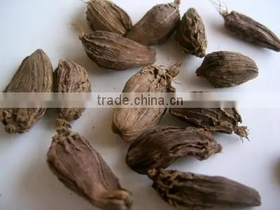 Vietnam Dried BLACK CARDAMOM Exporter (Emma:+84965152844)