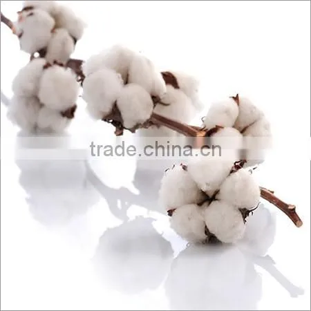 MCU-5, RAW COTTON photo-3