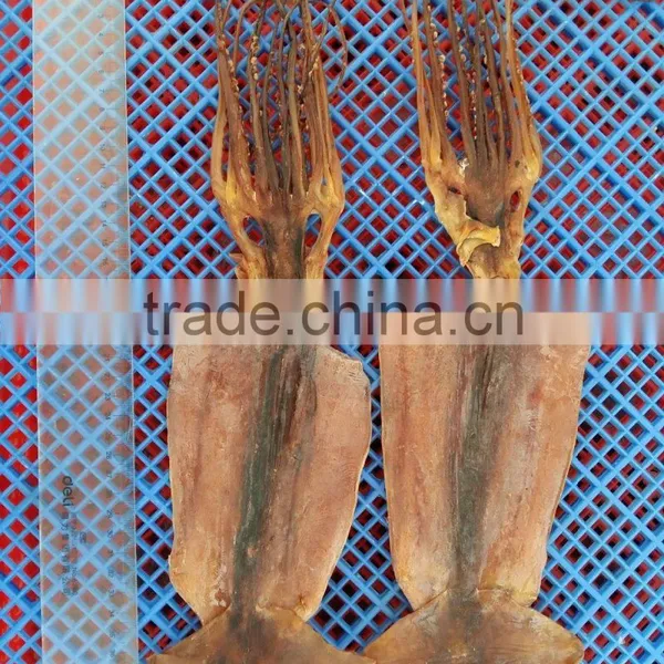 High Qulity Dry Squid for Sale photo-4