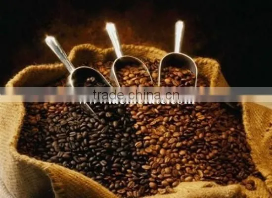Raw Green Coffee Beans Popular Products photo-4