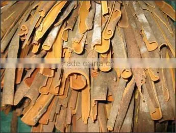 Cassia Split Vietnam Origin photo-2