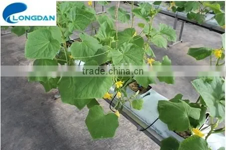 100% Non-asbestos Density 80kg/m3 Cheap Rockwool Cubes for Hydroponic Agriculture photo-3