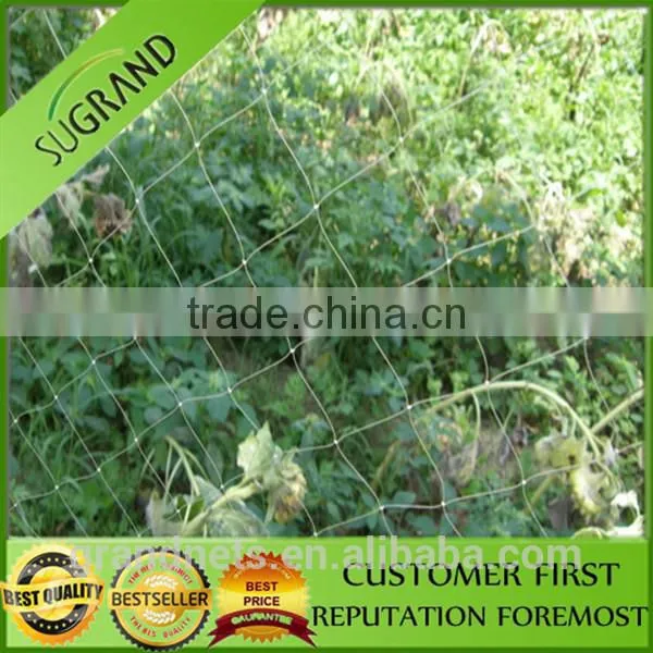 HDPE Catch Birds Anti Bird Netting photo-5