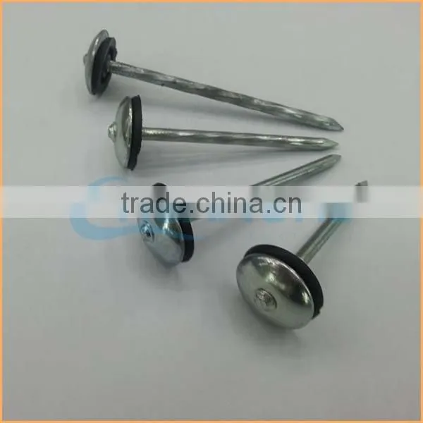 Top Quality Roofing Nails With Plastic Washer Trusted Chuanghe Suppliers From Com photo-6