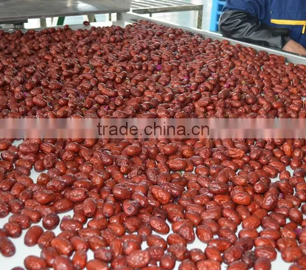Jujuebe Multiple Layer Continuous Type Mesh Belt Dryer photo-4