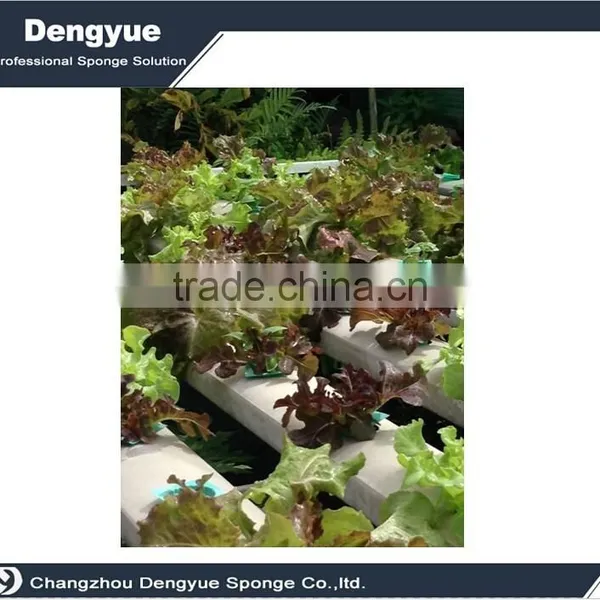 Agricultural Polyurethane High Densuty Seeds Grow Sponge Germination Foam photo-4