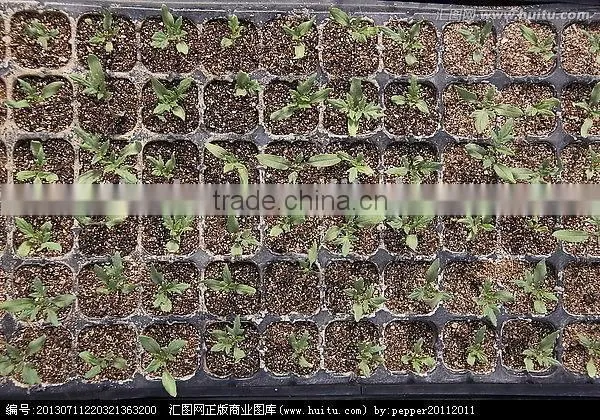 Wholesale Cheap Good Quality ps Cells Seedling Trays photo-3
