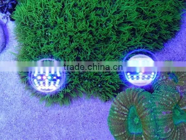 Hot Selling Programmable Full Spectrum Sunrise and Sunset Coral Reef Used Led Aquarium Light photo-3