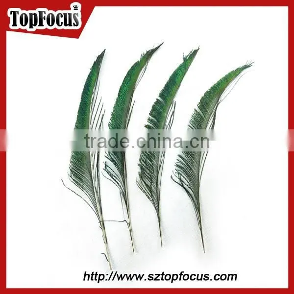 Cheap Down Raw Material Green Natural Peacock Feather for Sale photo-2