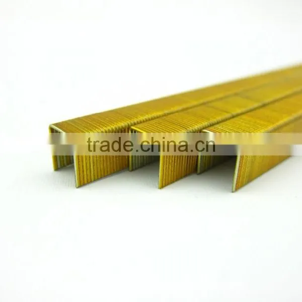 21GA 8016 Staple photo-2