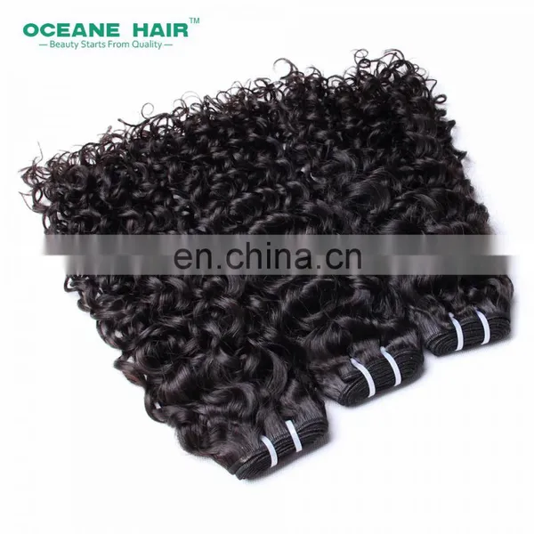 Peruvian Human Hair Dubai Overnight Shipping Afro Kinky Curly Clip in Hair Extensions photo-5