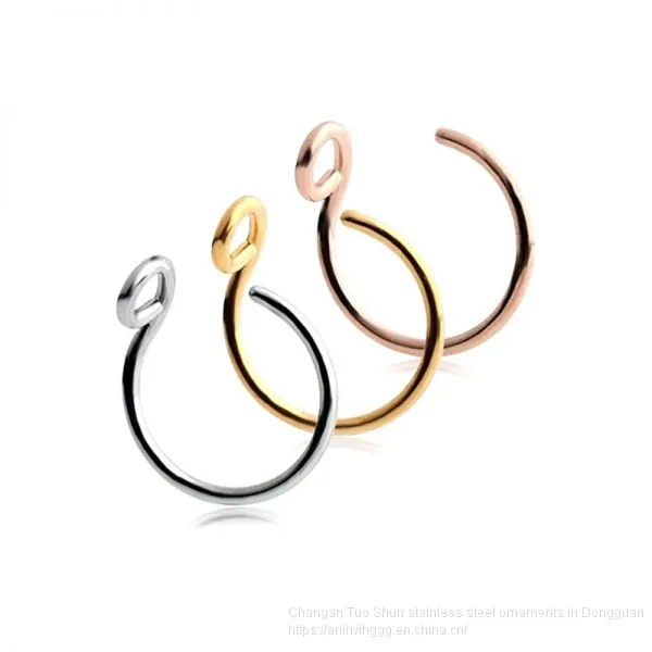 New Hot Money Puncture Stainless Steel Insert Drill Nail, Foreign Trade Jewelry Earrings, Titanium Steel Nose Ring Manufacturer Wholesale photo-5