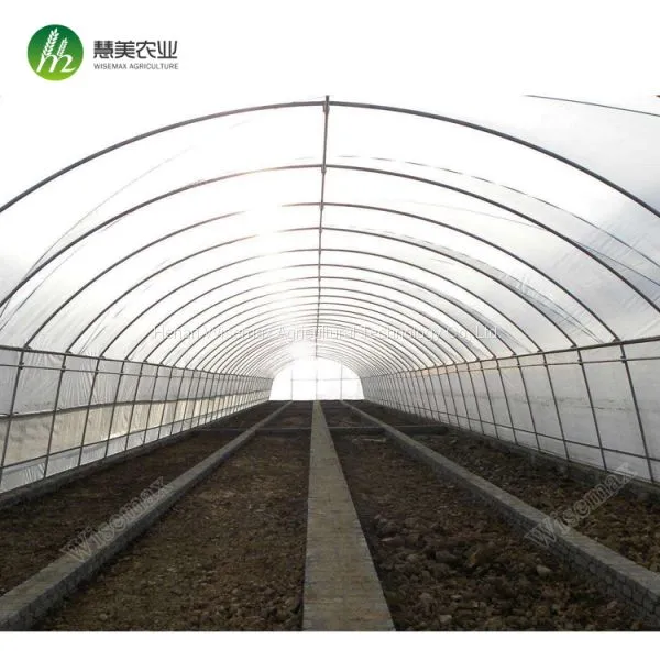 50x8m Vegetable Tomato Single Span PE Plastic Tunnel Greenhouse Sale photo-4