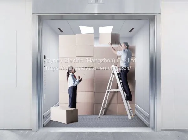3000kg Cargo Elecator Goods Lift for Factory photo-3