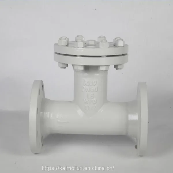 DN50-400mm T Type Straight Through Strainer photo-2