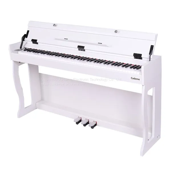 OEM Digital Electric Piano for Kids Professionals Electronic Organ Piano Keyboard photo-3