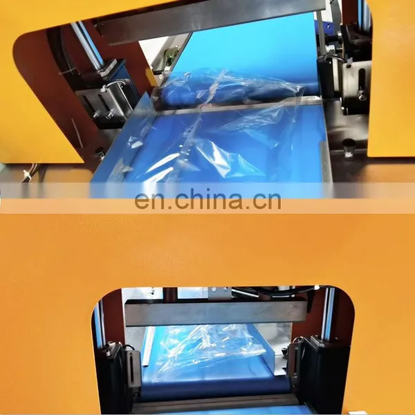 China Servo Motors Full Automatic Lettuce Radish Carrot Vegetable Pillow-Type Packer photo-4