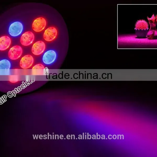 12W 24W E27 Hydroponic LED Plant Grow Lights Growing PAR38 Lamp for Garden Plants photo-3